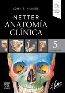 Netter. Anatomía clínica