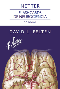 Netter. Flashcards de neurociencia