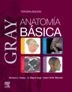 Gray. Anatomía básica