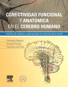 Conectividad funcional y anatómica en el cerebro humano