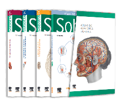 PACK SOBOTTA ATLAS ANATOMíA HUMANA (3 VOLS. + TABLAS)