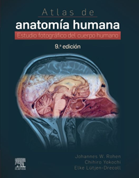 Anatomia humana