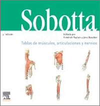 Sobotta, tablas de musculos